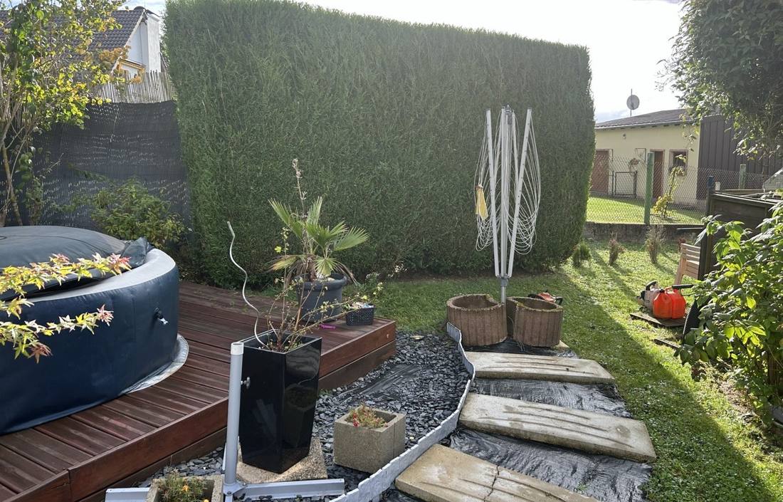 Haie de thuyas taillée en limite de propriété