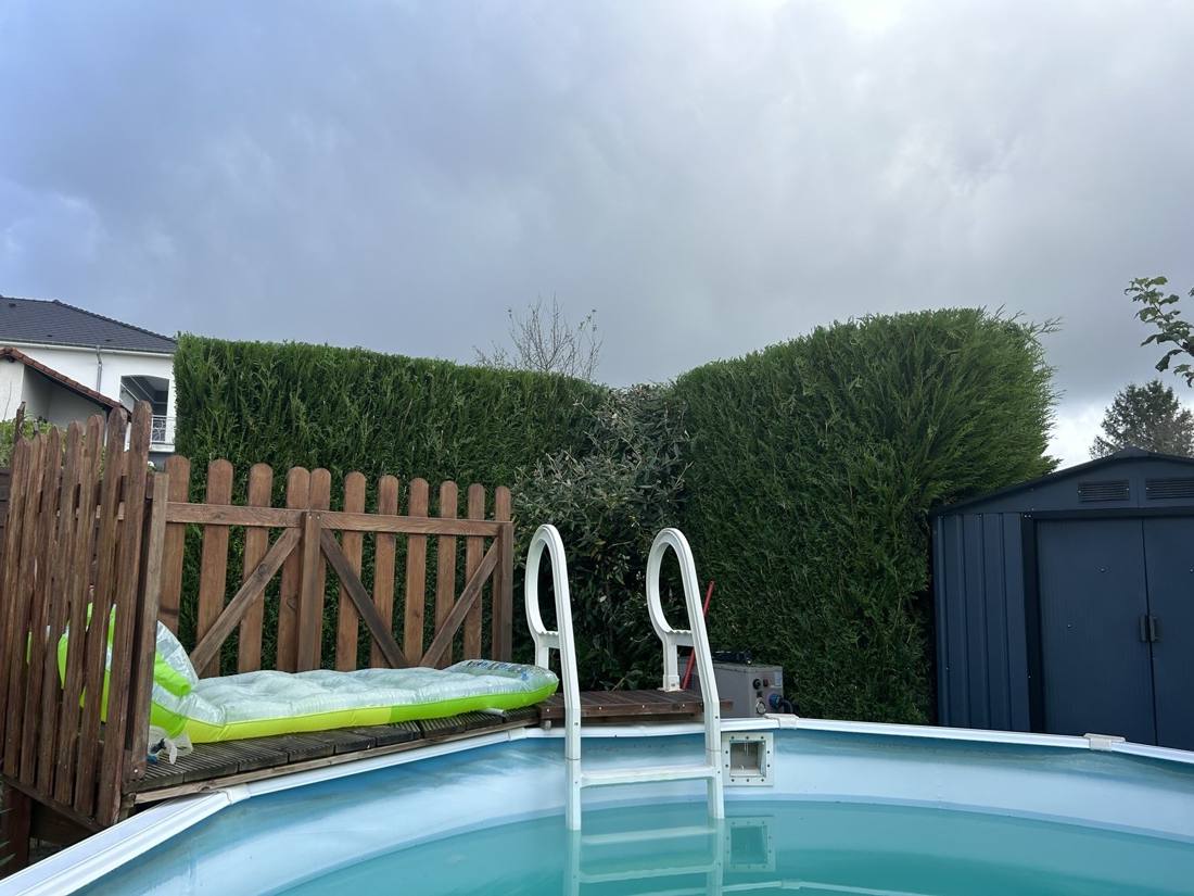 Même haie taillée nette autour de la piscine