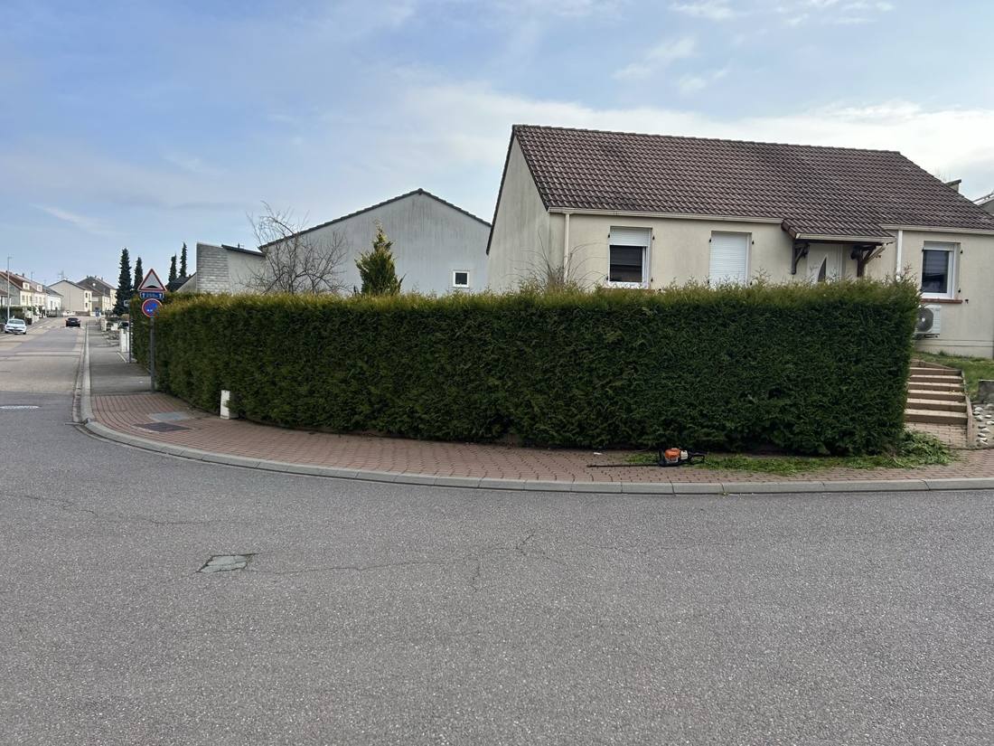 Haie de thuyas taillée droite à l'angle d'une rue