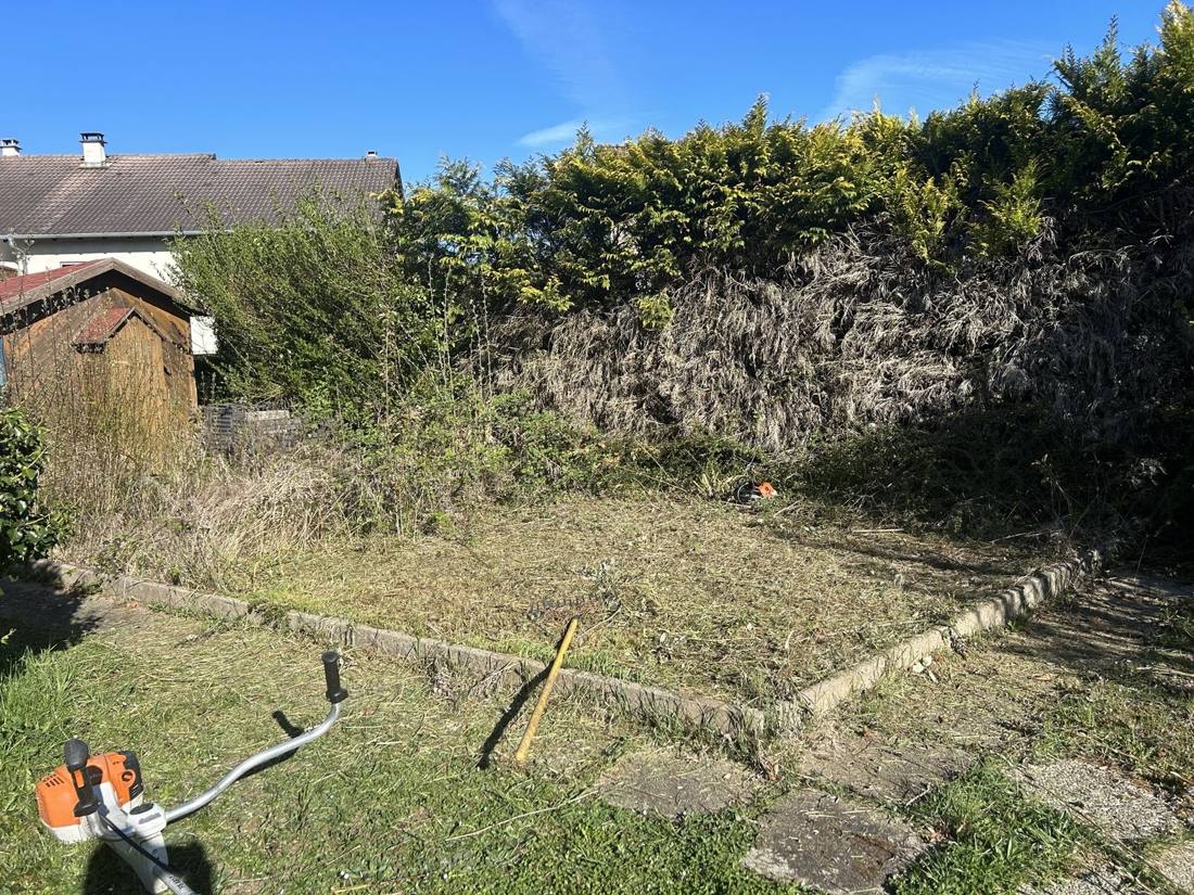 Terrain envahi au pied d’une haie avant la création de pelouse