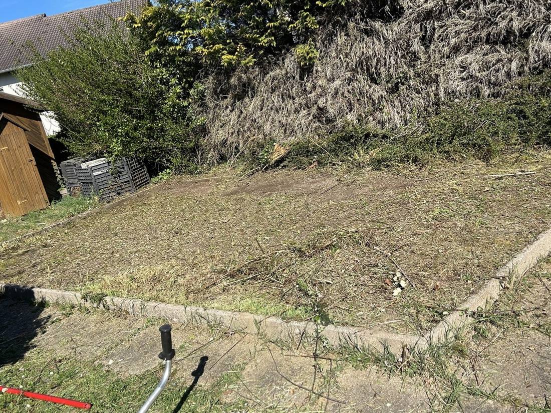 Même terrain débroussaillé et fauché, prêt à être préparé pour la pelouse